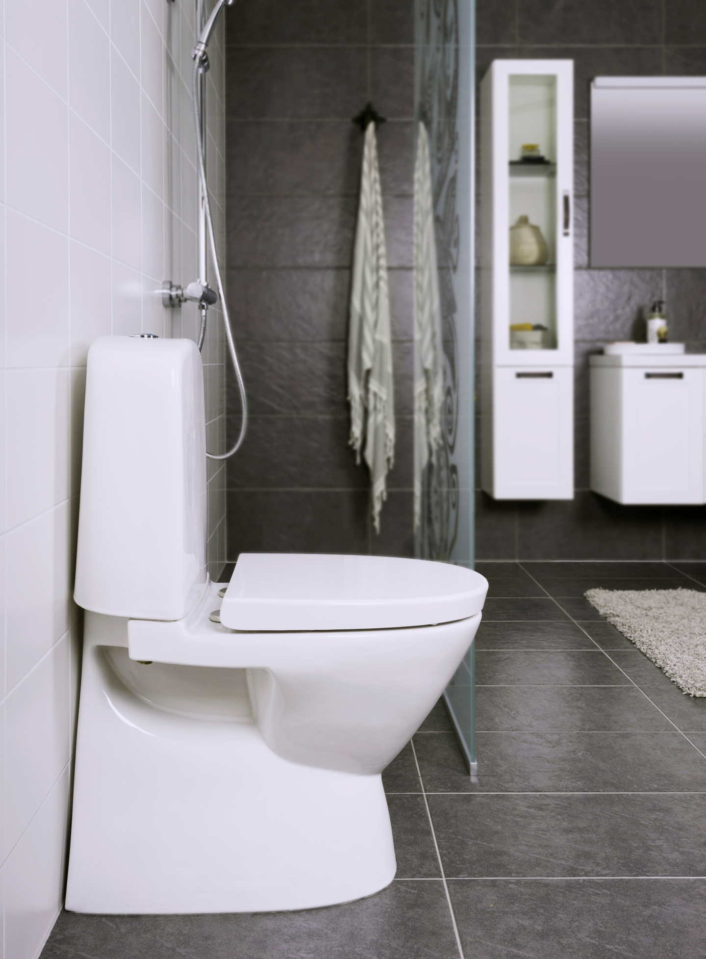 WC-istuin NORO Well No-Rim