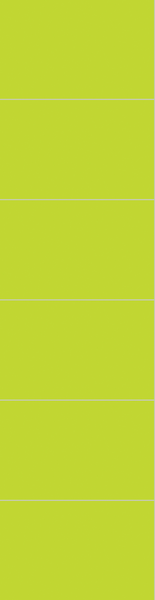 Sisustuslevy Fibo 2446-M6040 HG Lime