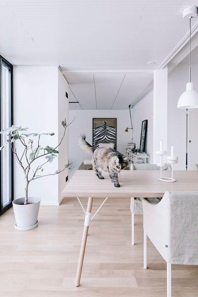 Sisustuspaneeli Railo 13x95x2350 puhdas valkoinen valeura 1,15m²