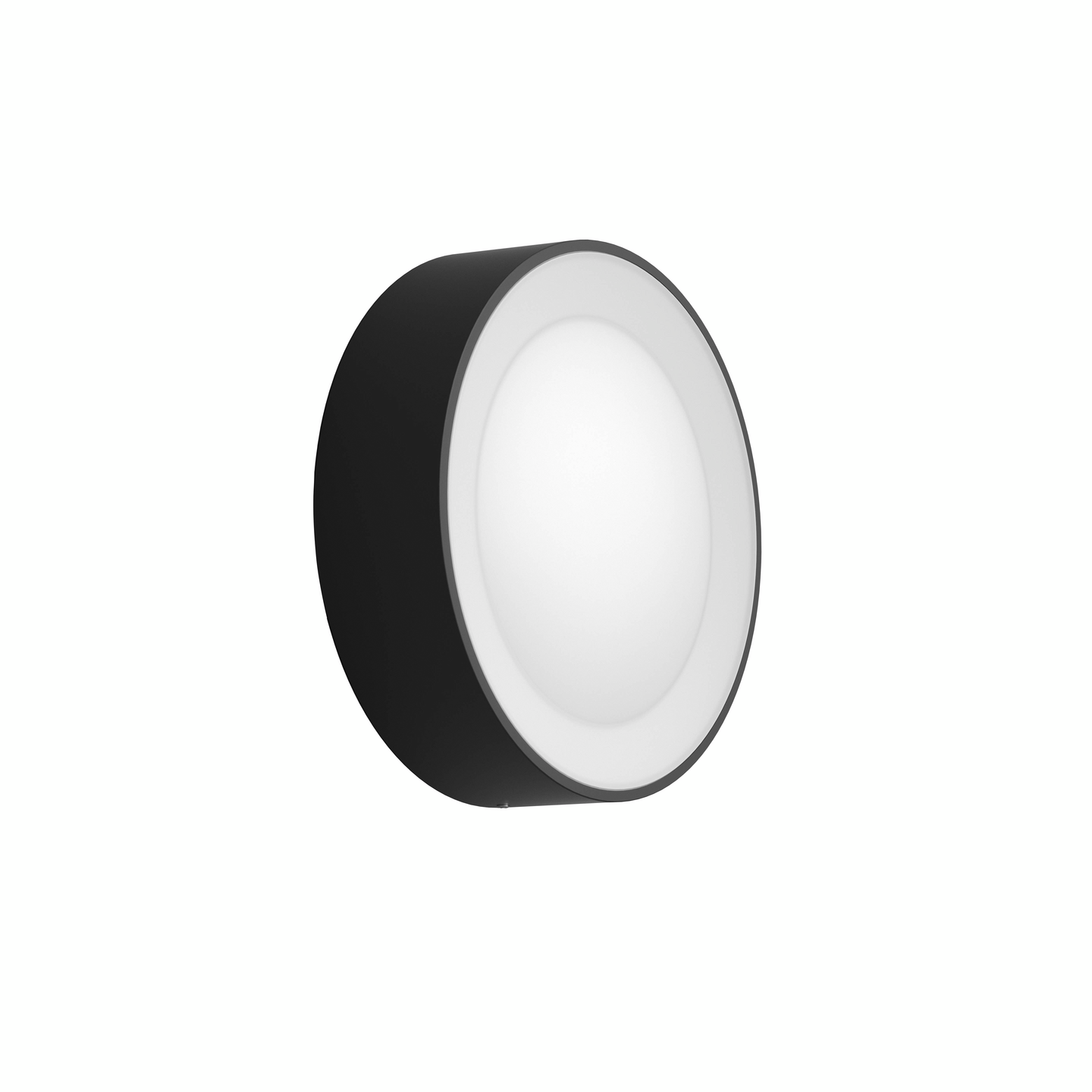 Ulkoseinävalaisin Philips Hue Daylo 1050lm musta