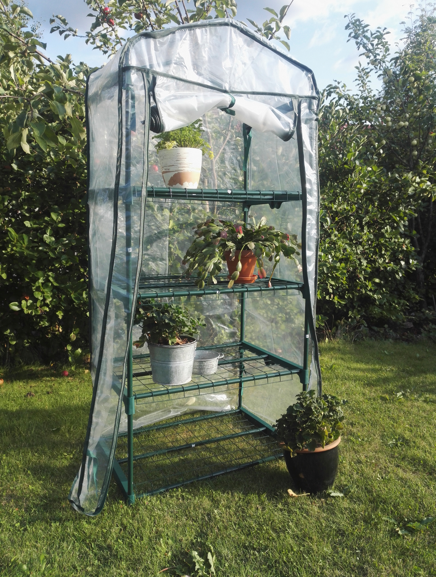 Minikasvihuone FXA 4 hyllyä