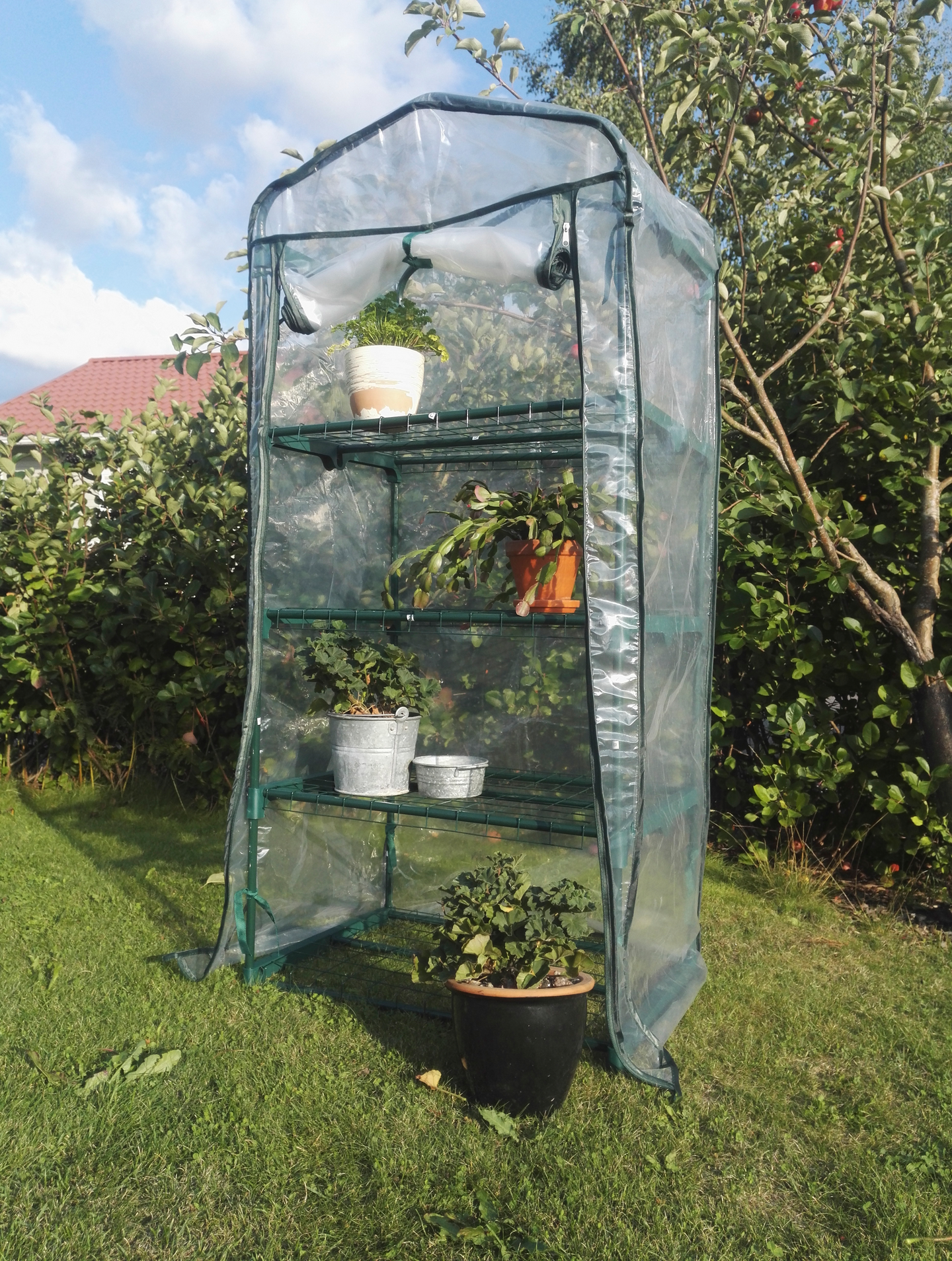 Minikasvihuone FXA 4 hyllyä