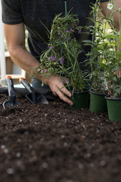 Möyhennyskuokka Fiskars Solid 1001600