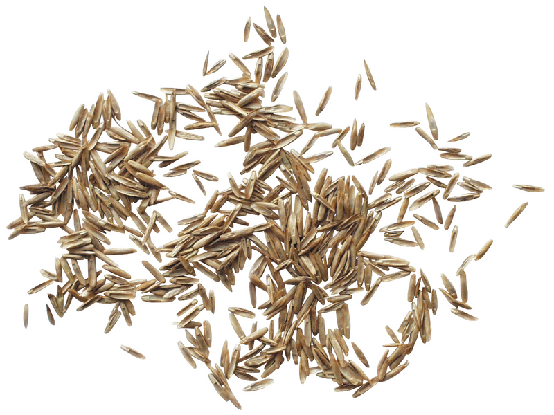 Nurmikkoseos Cello Green 2,5kg