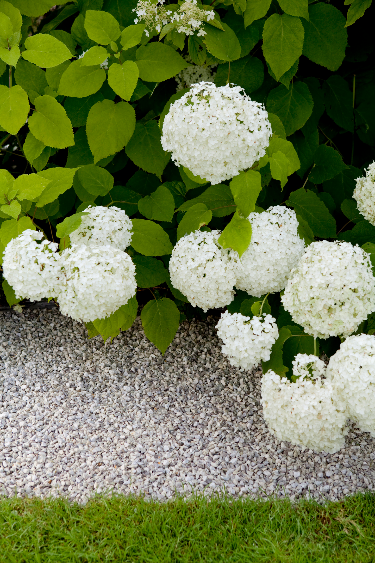 Koristekivi Kekkilä valkoinen gabro 25kg