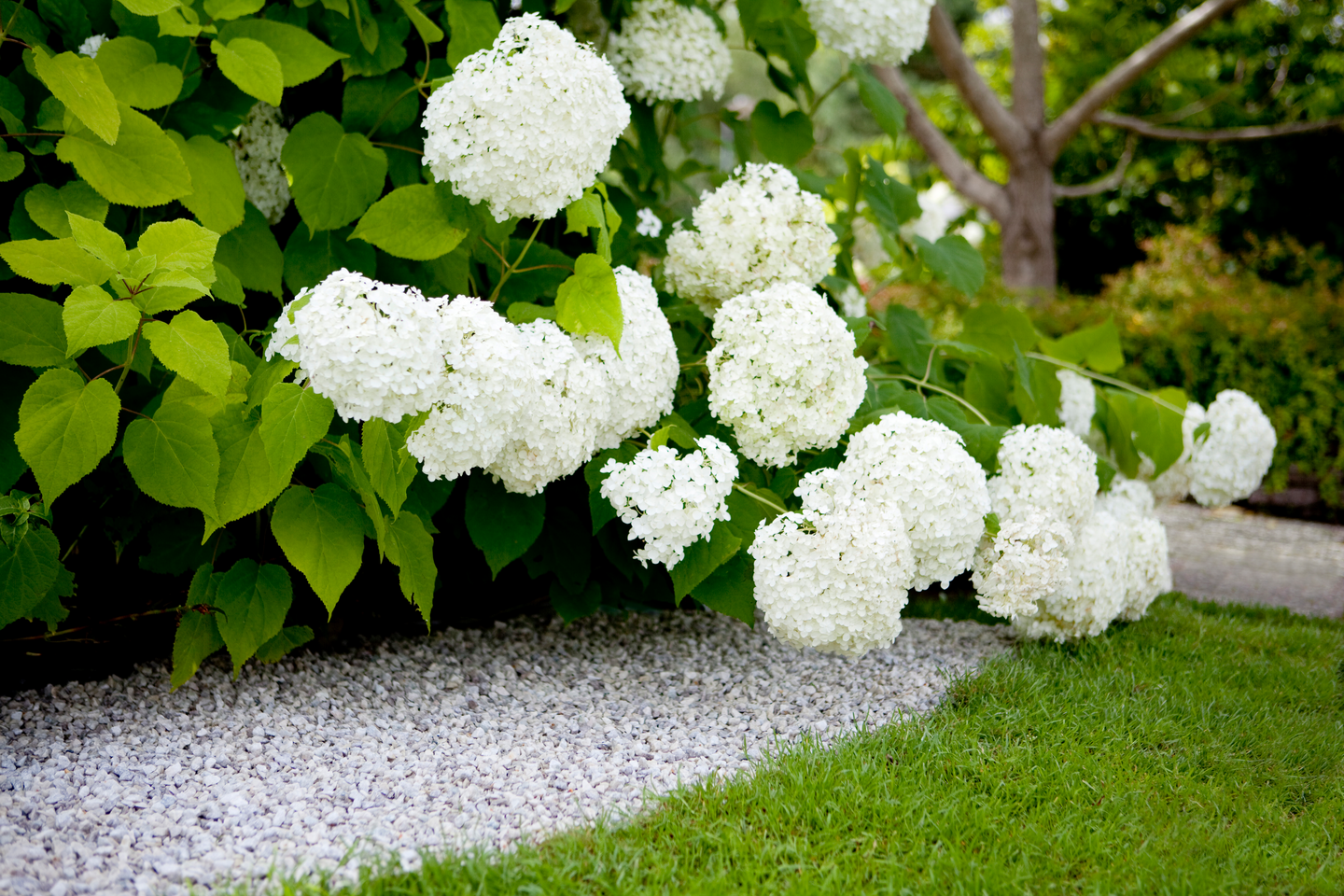 Koristekivi Kekkilä valkoinen gabro 25kg