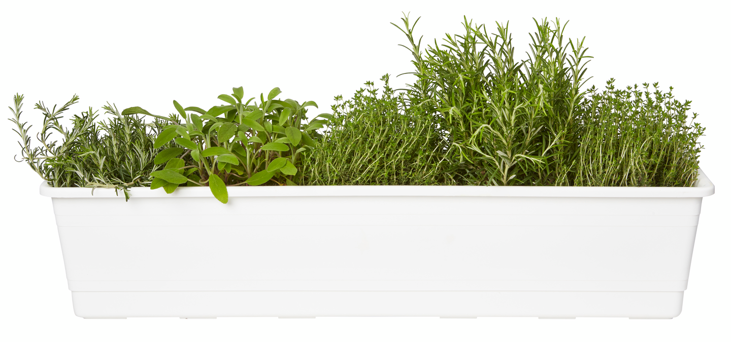 Parvekelaatikko Orthex kestokastelu 75cm valkoinen