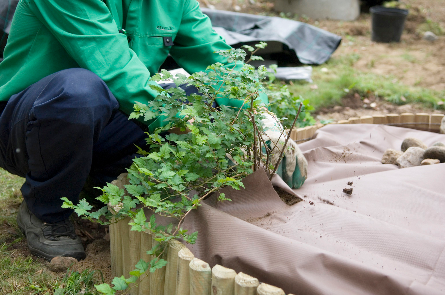 Maisemointikangas Cello 1,05x14,30m 15m²