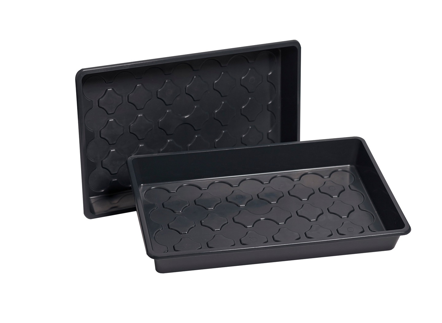 Taimikasvatuslaatikko Nelson Garden 24x38cm