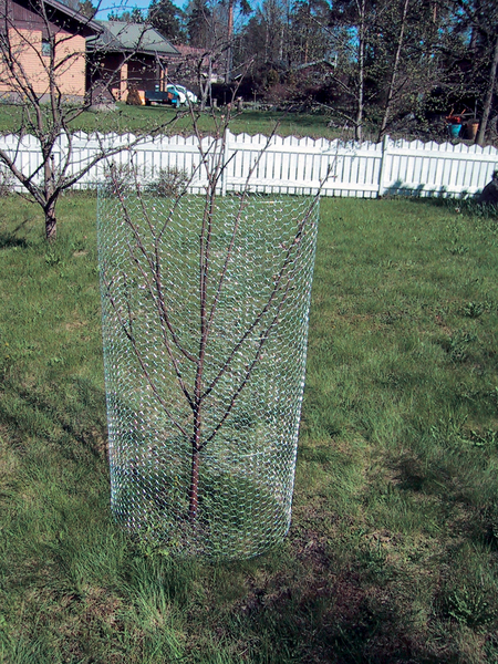 Verkko FXA 6-kulma kuumasinkitty 120cmx10m 25x25mm