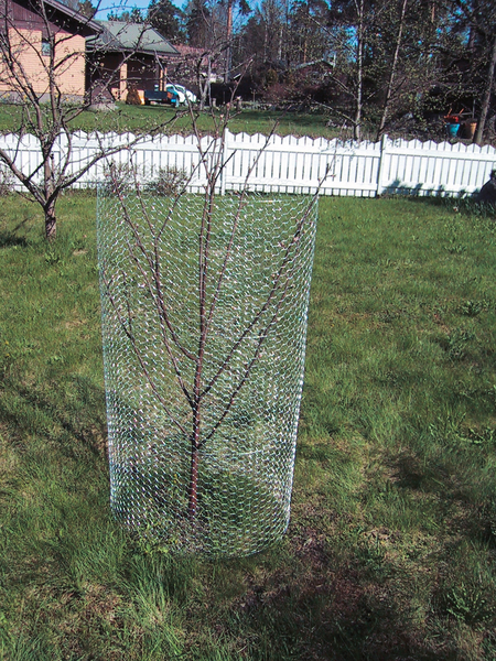 Verkko FXA 6-kulma kuumasinkitty 120cmx10m 25x25mm