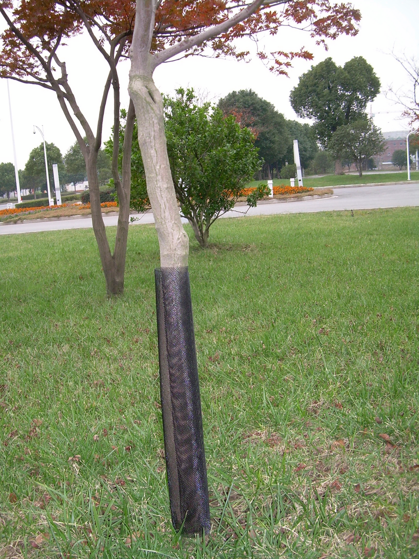 Rungonsuojaverkko 55cm 2kpl