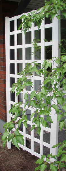 Köynnösritilä/aitaelementti Miljöökoriste 80x180cm valkoinen