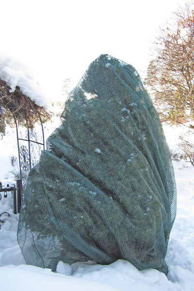 Varjostuspeite Cello 10m² 3,6x2,8m