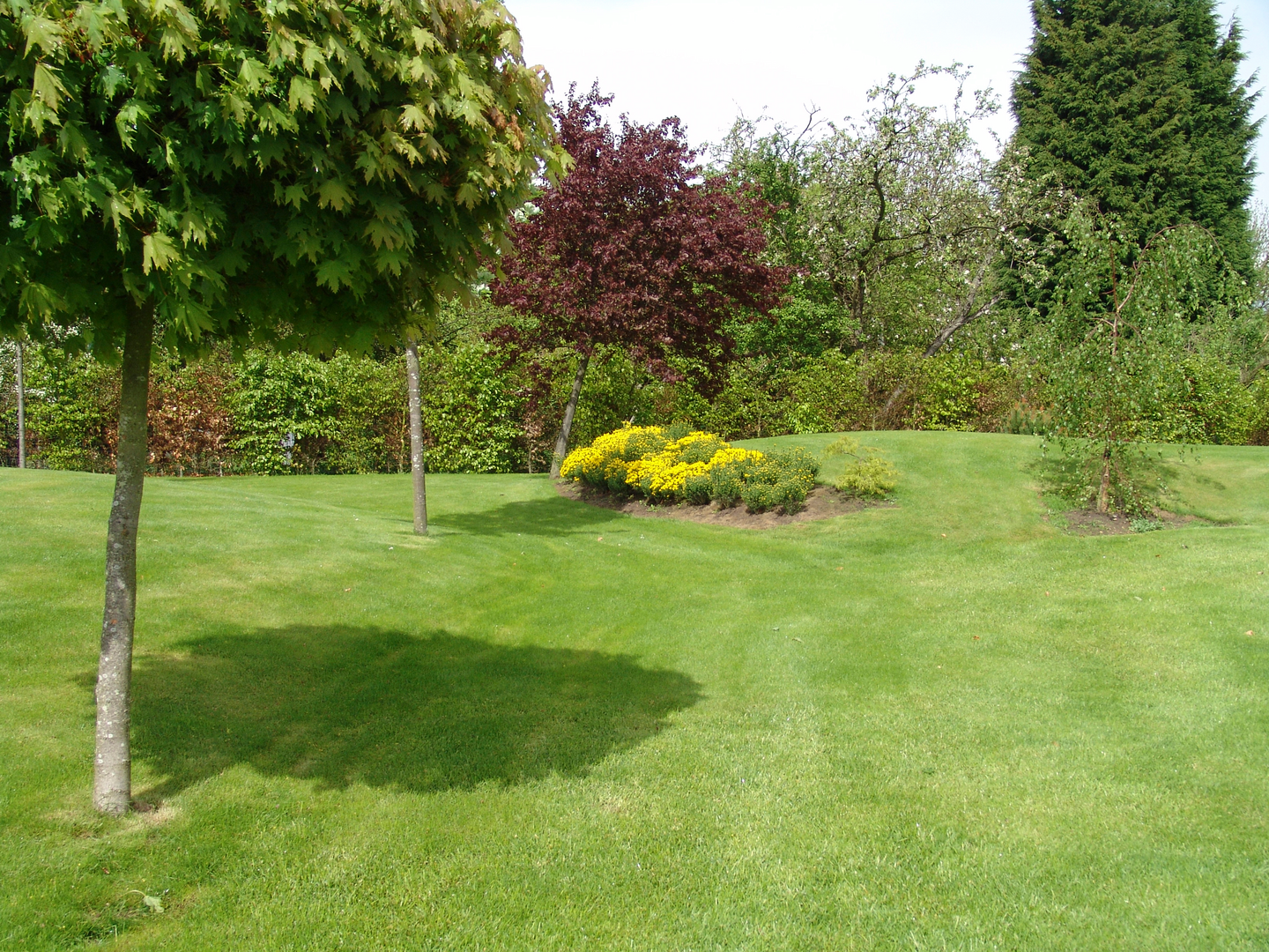 Nurmikkoseos Cello Extra Green 10kg