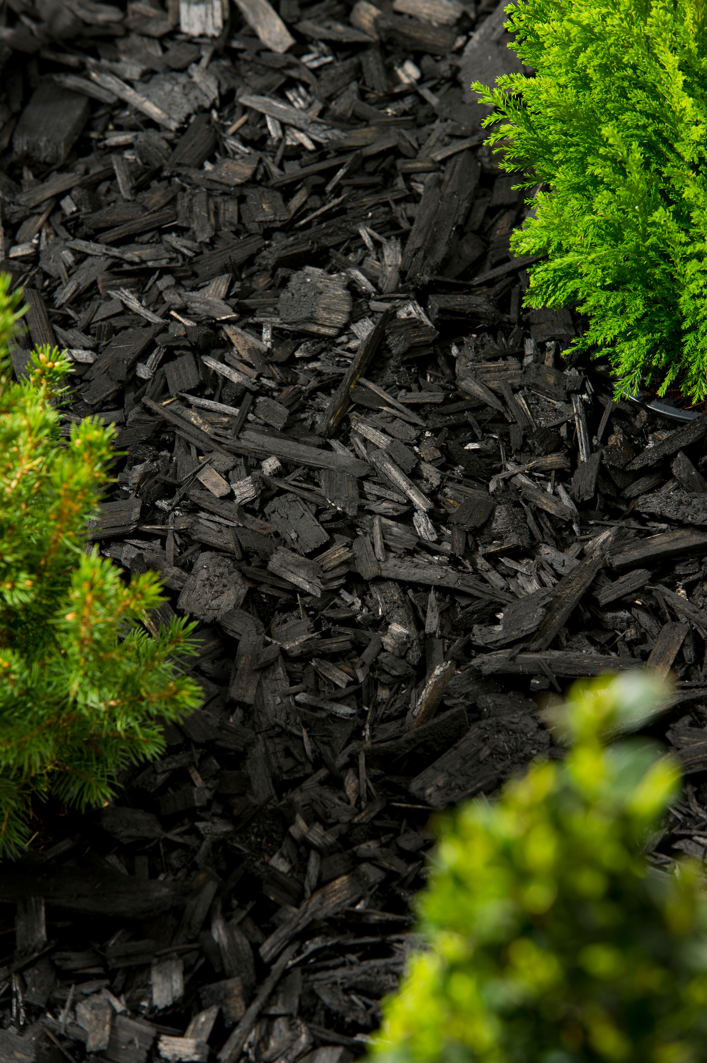 Värikate Cello musta 45l