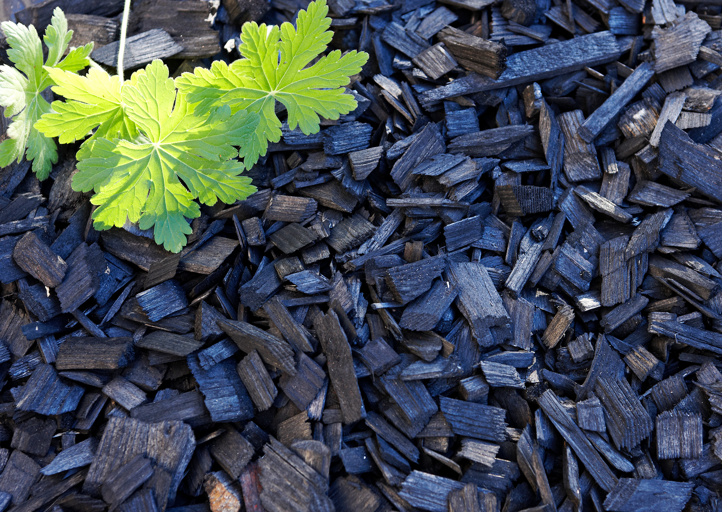 Värikate Cello musta 45l