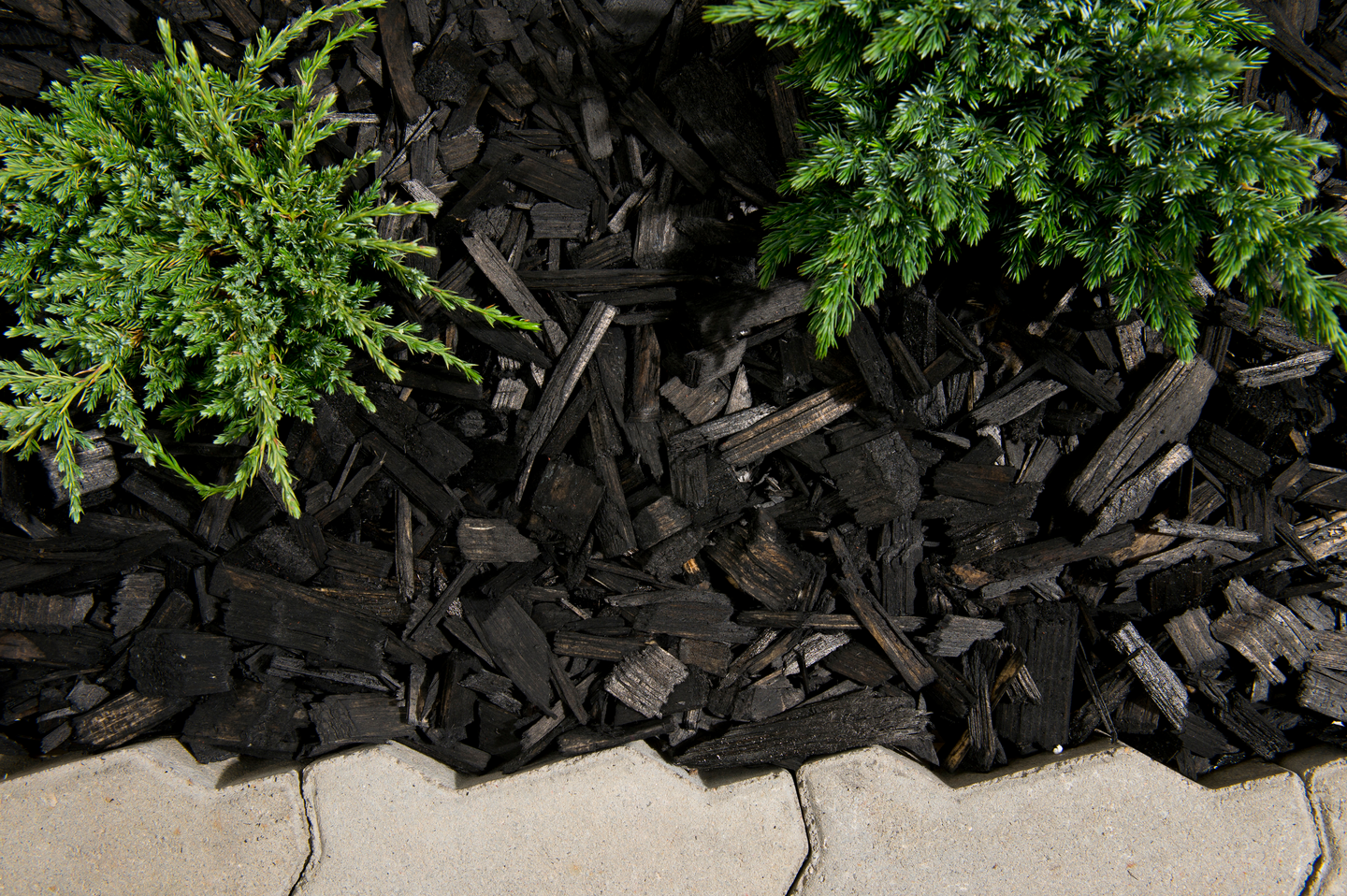 Värikate Cello musta 45l