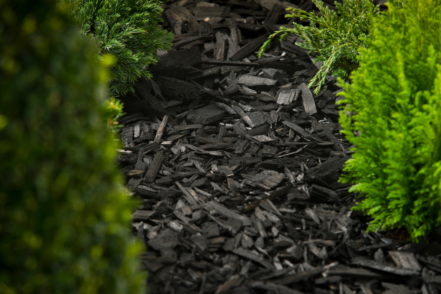 Värikate Cello musta 45l