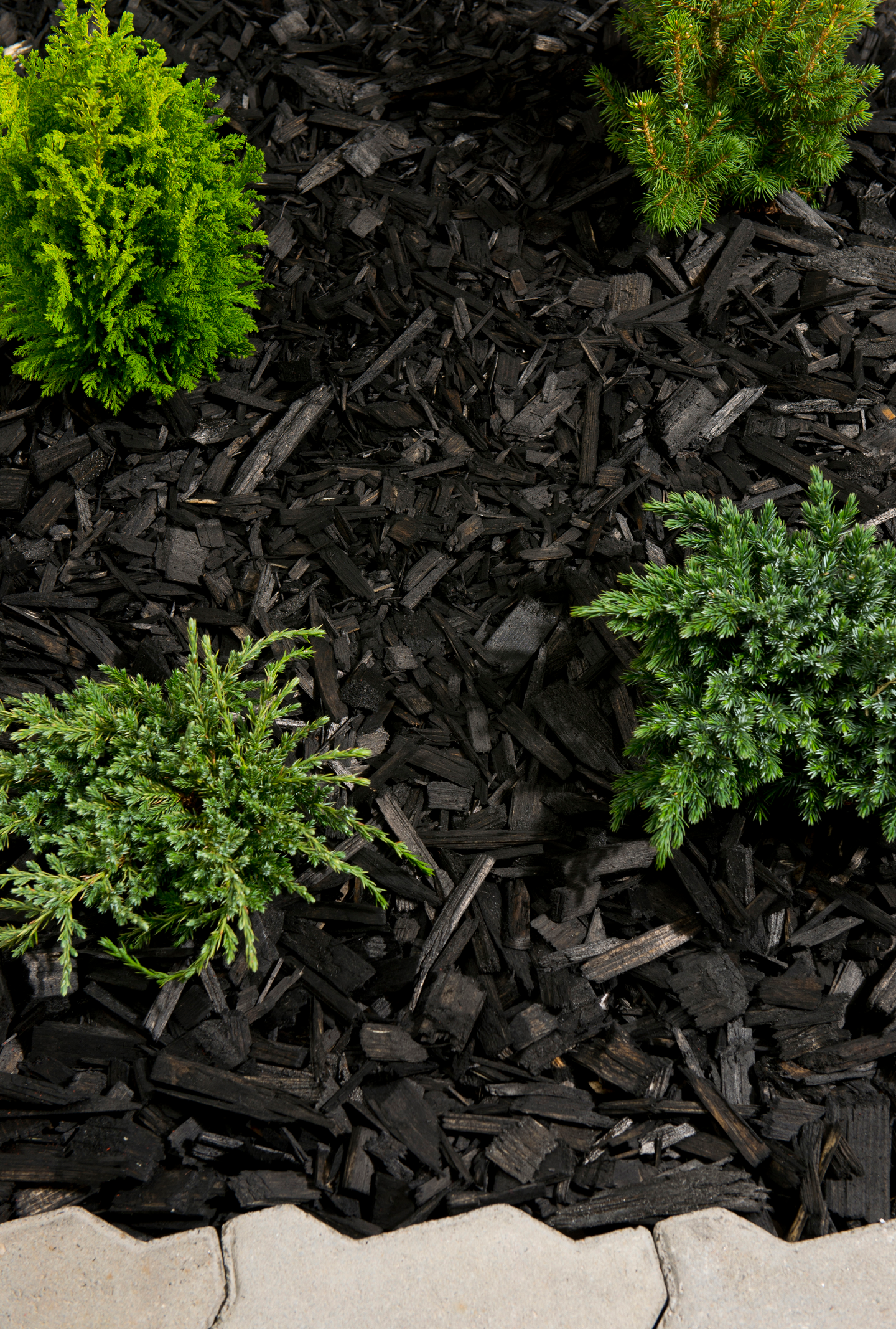 Värikate Cello musta 45l