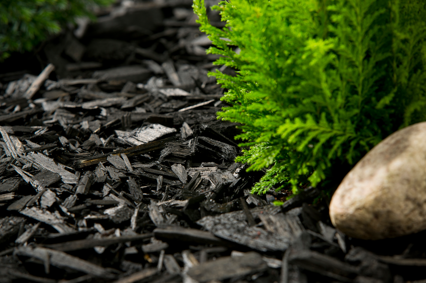 Värikate Cello musta 45l