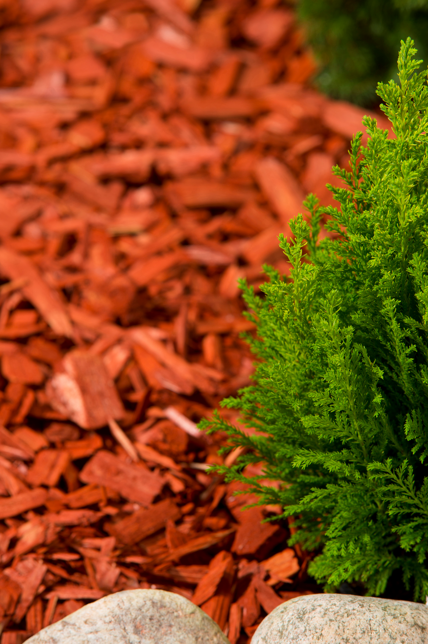 Värikate Cello punainen 45l