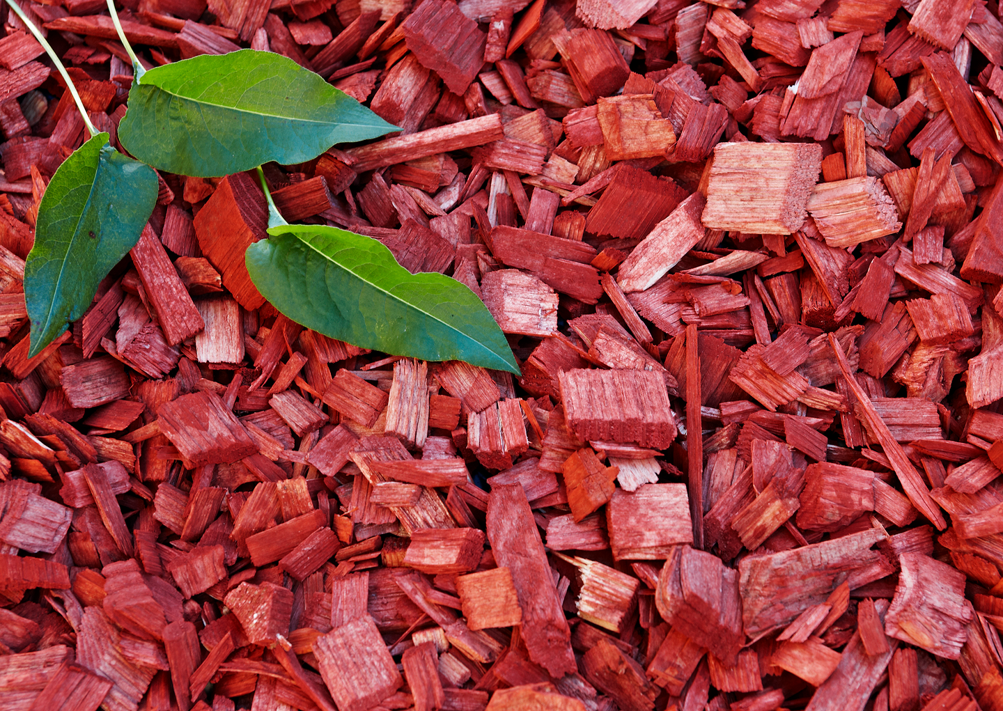 Värikate Cello punainen 45l