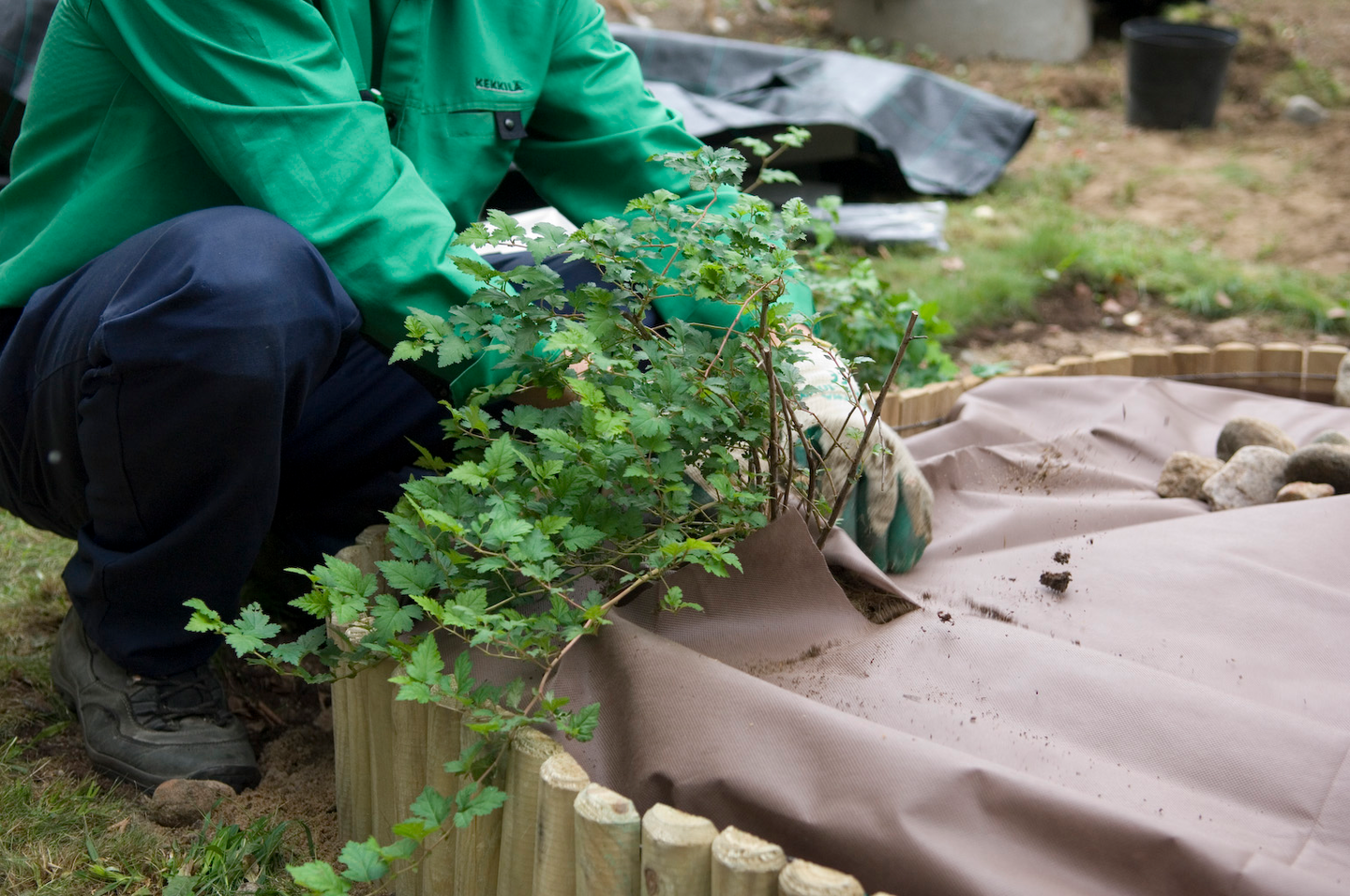 Maisemointikangas Cello 3,2x9,4m 30m²