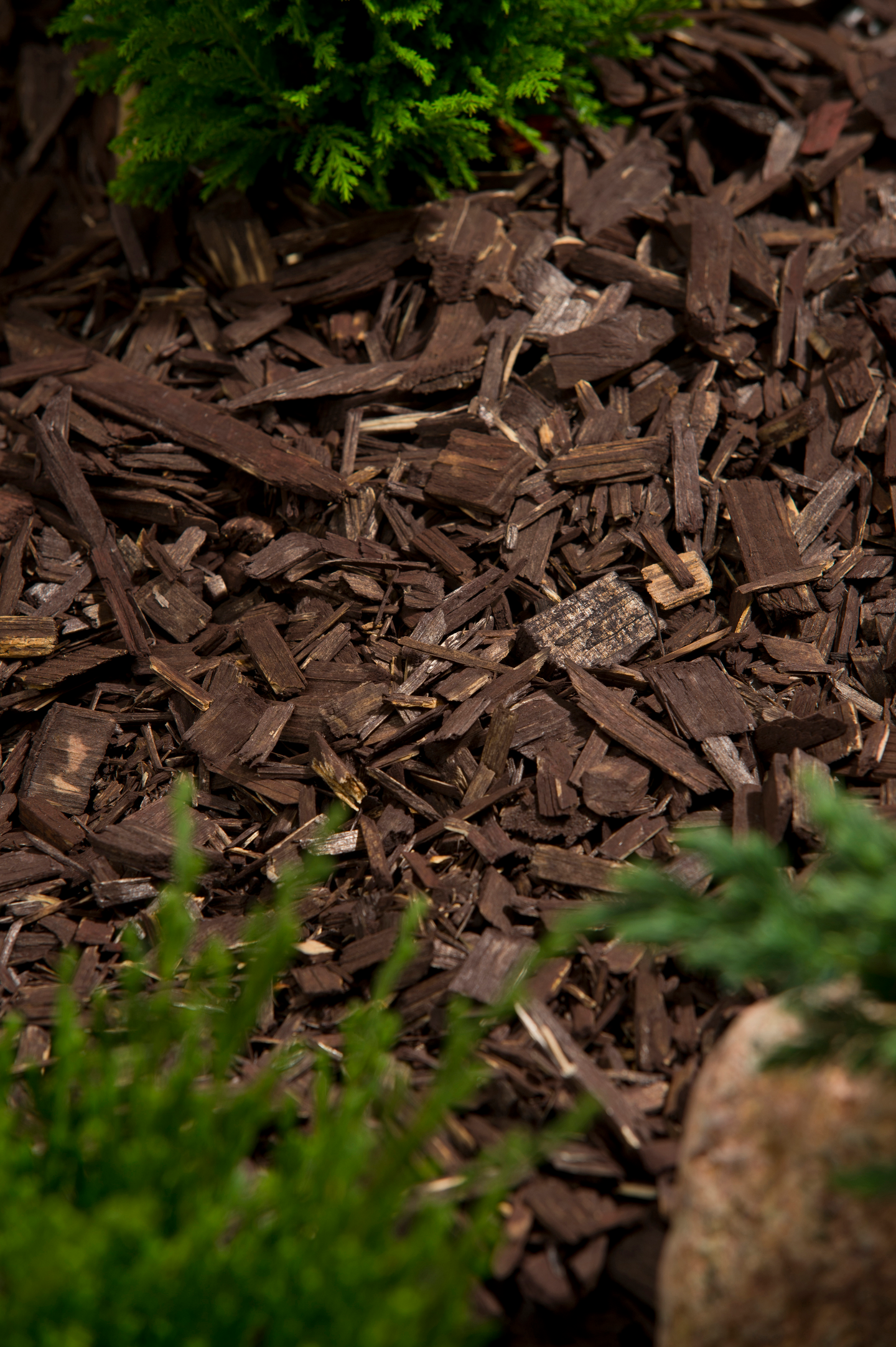 Värikate Cello ruskea 45l