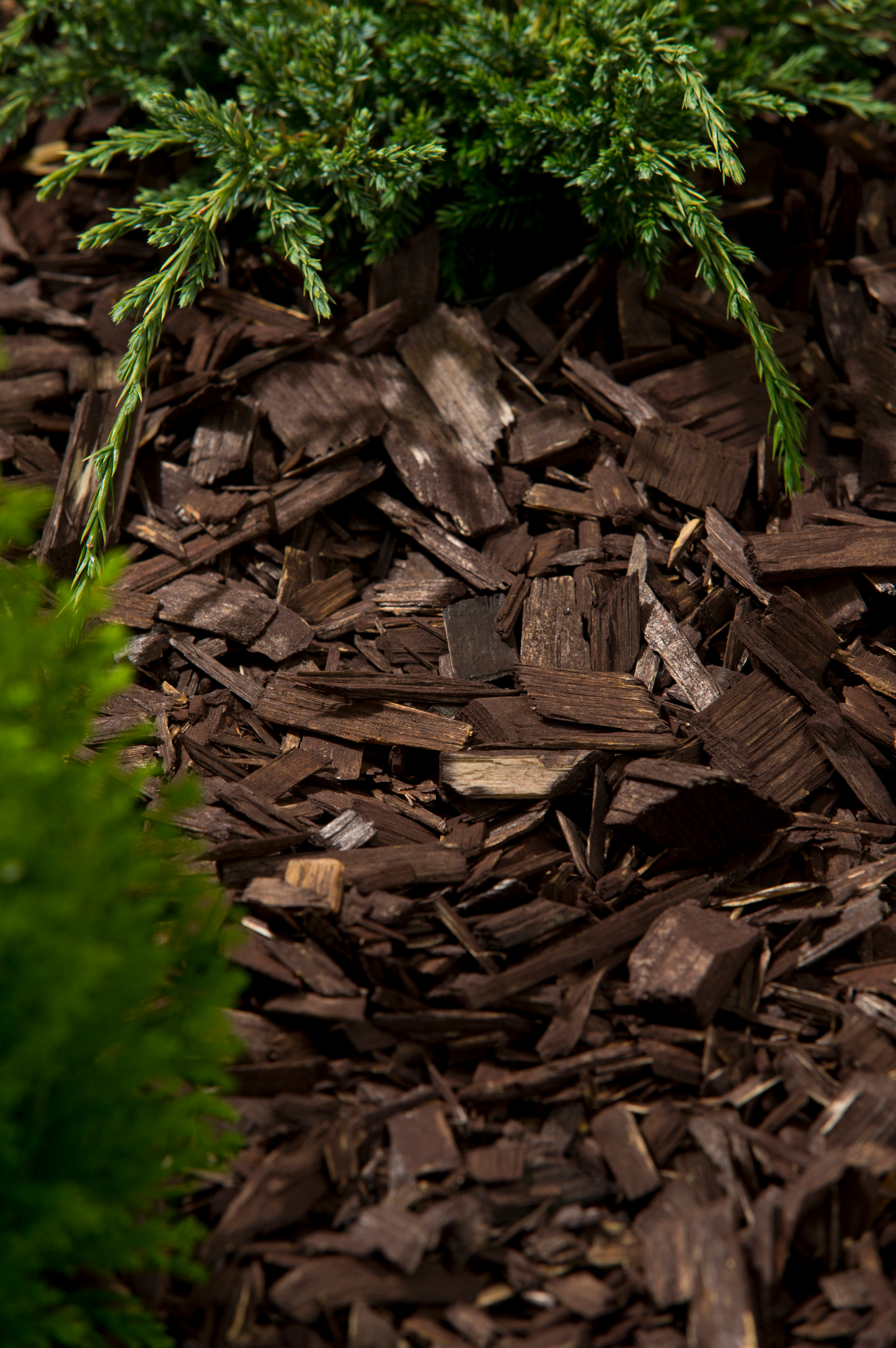 Värikate Cello ruskea 45l