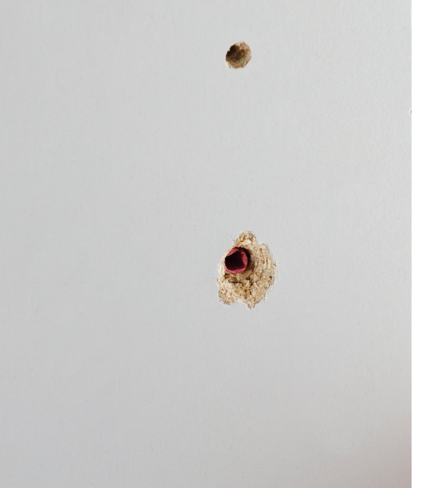 Puukorjaustappi Suki Screw It Again 2-10mm 4kpl