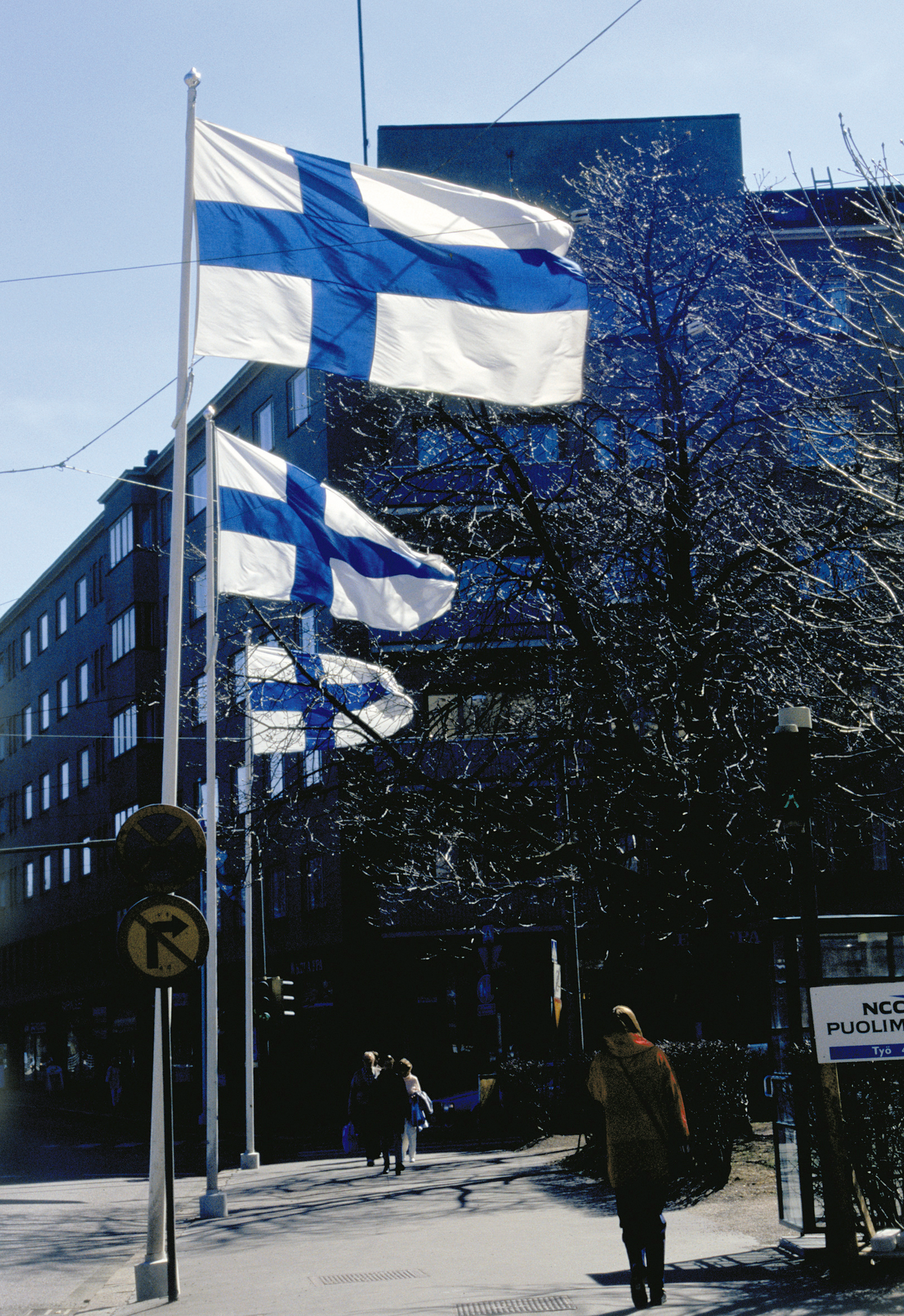 Suomen lippu Flagmore 9m 150x245cm