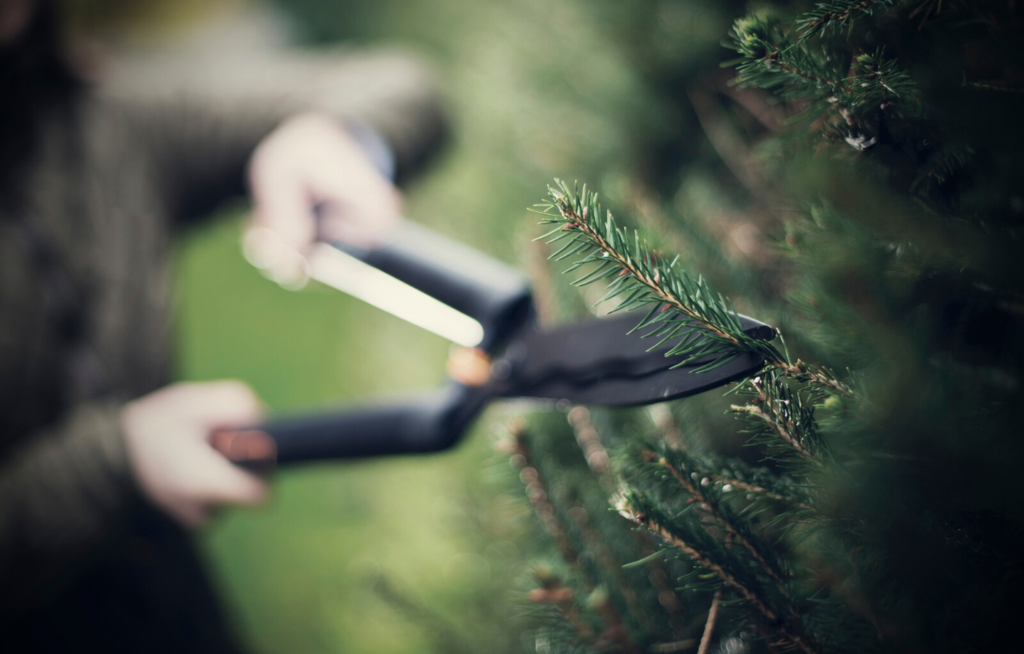 Pensassakset Fiskars Single Step HS22