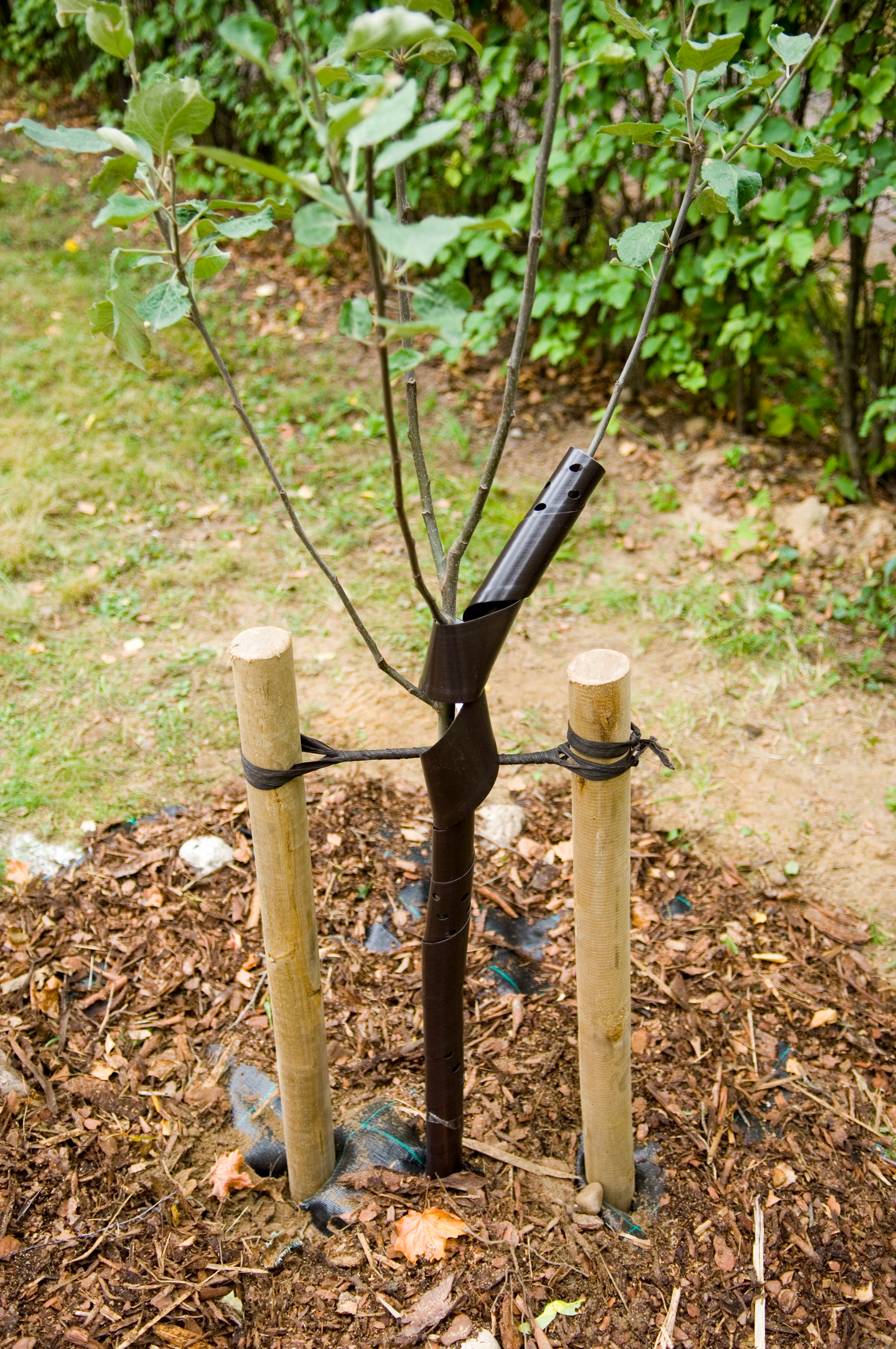 Rungonsuoja spiraali 60cm 5kpl