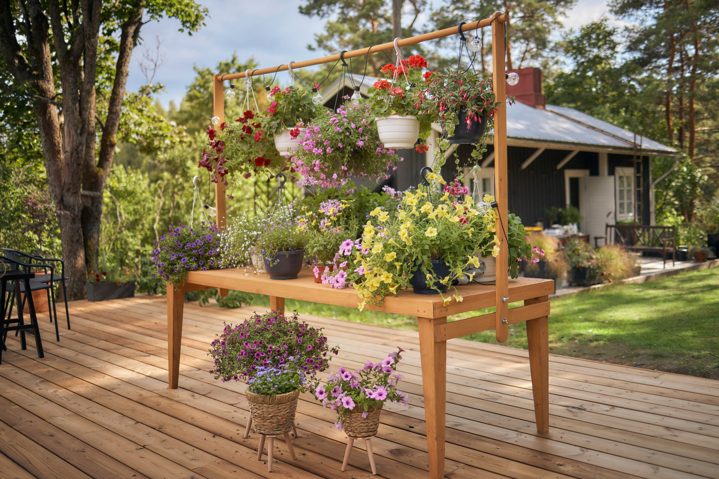 Kesäkukka-amppeli 23cm