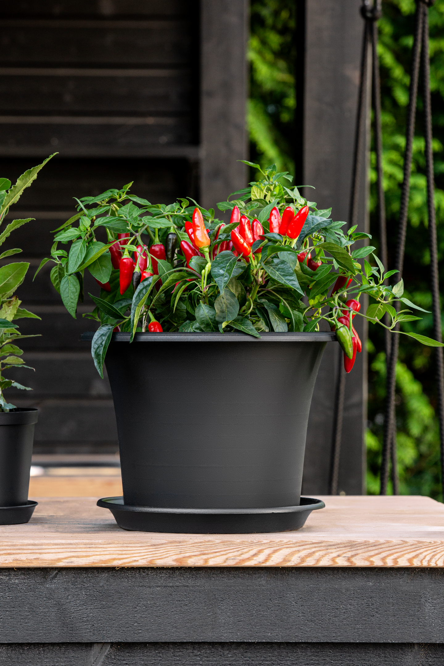 Ruukku Orthex Botanica 30cm musta