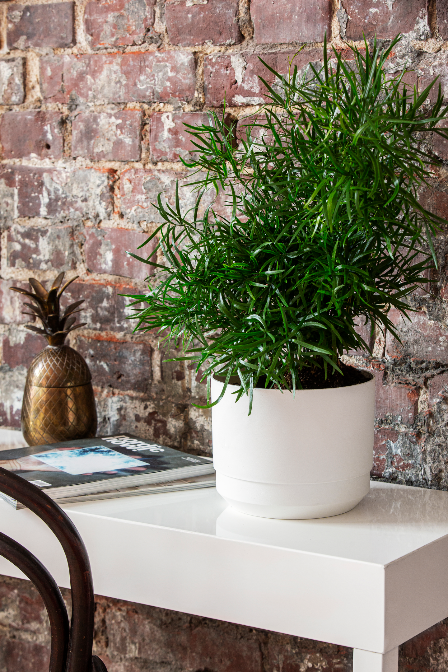 Ruukku Orthex Pauliina 14cm valkoinen