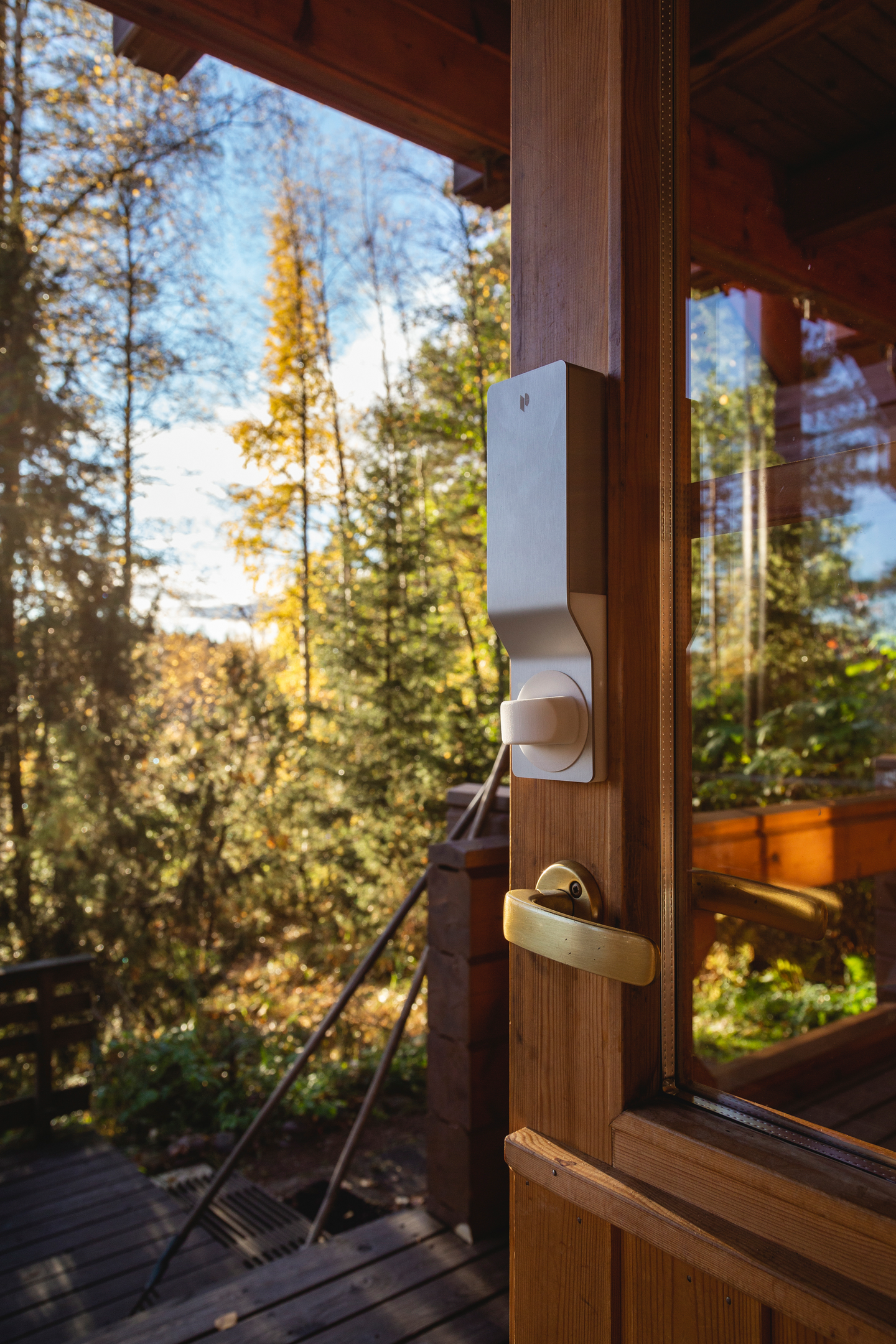 Älylukko Pindora harmaa