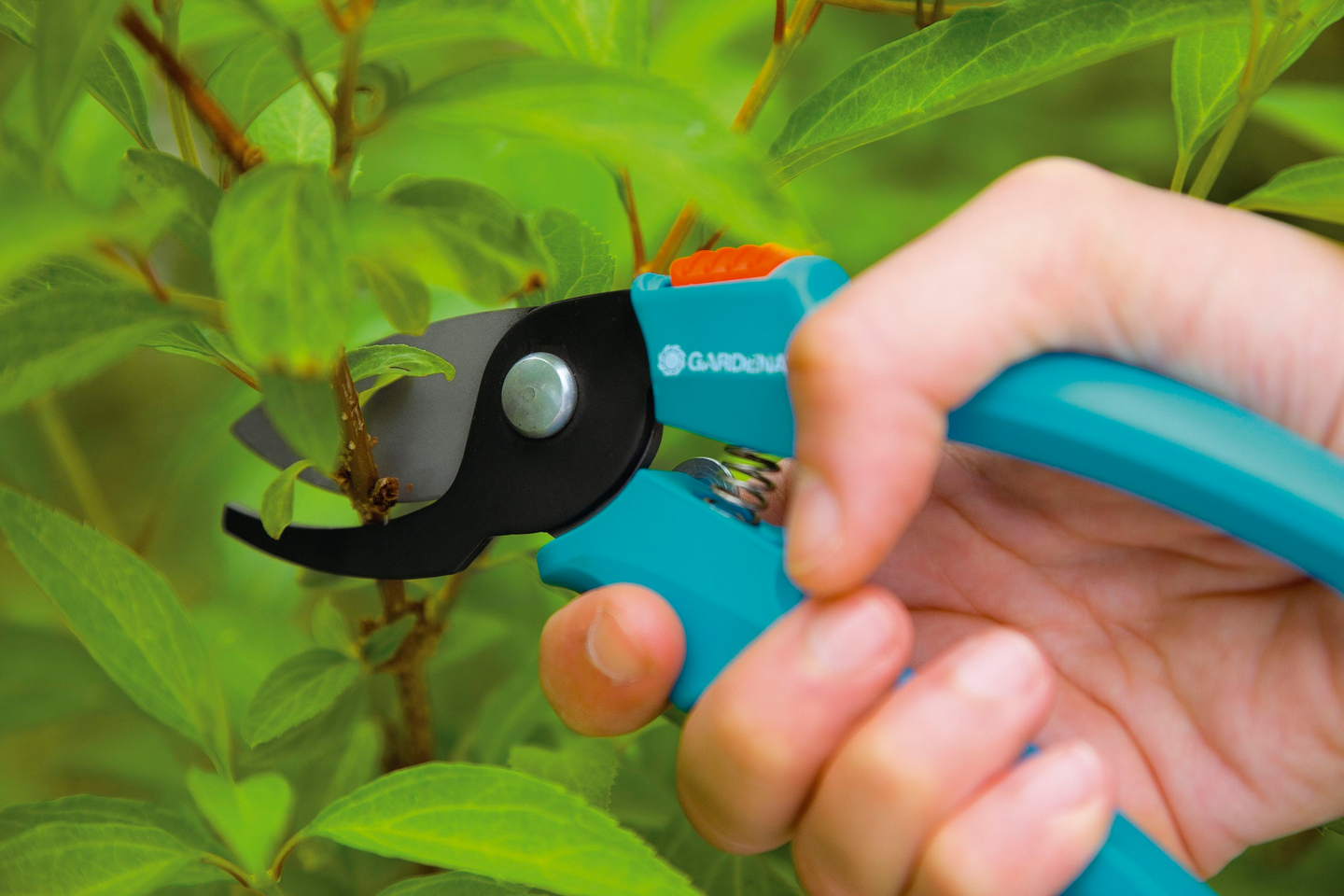 Puutarhasakset Gardena Classic 8754