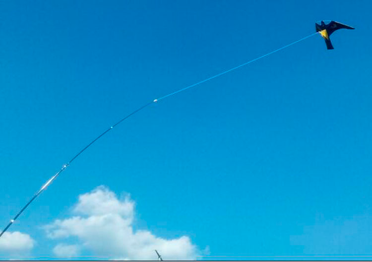 Linnunkarkotin teleskooppivarrella 4m