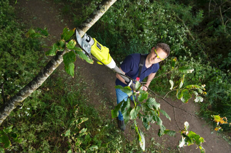 Akkuteleskooppileikkuri Ryobi RY18PLA-0 18V ONE+ runko