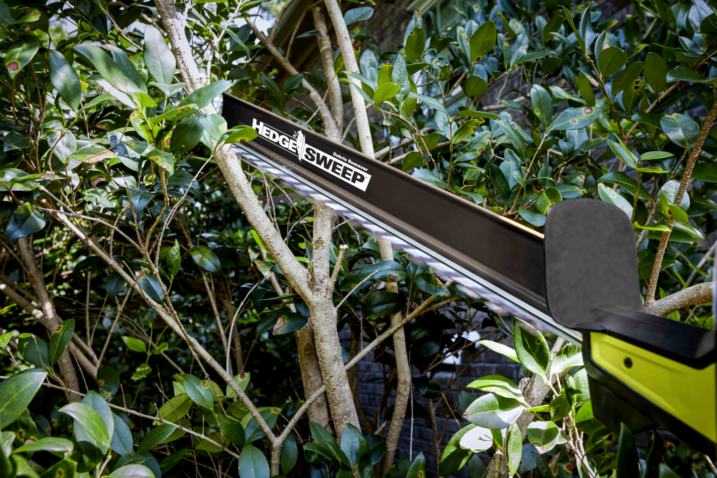 Akkupensasleikkuri Ryobi 36V RY36HTX65A-0