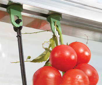 Ripustuskoukut Palram-Canopia 10kpl