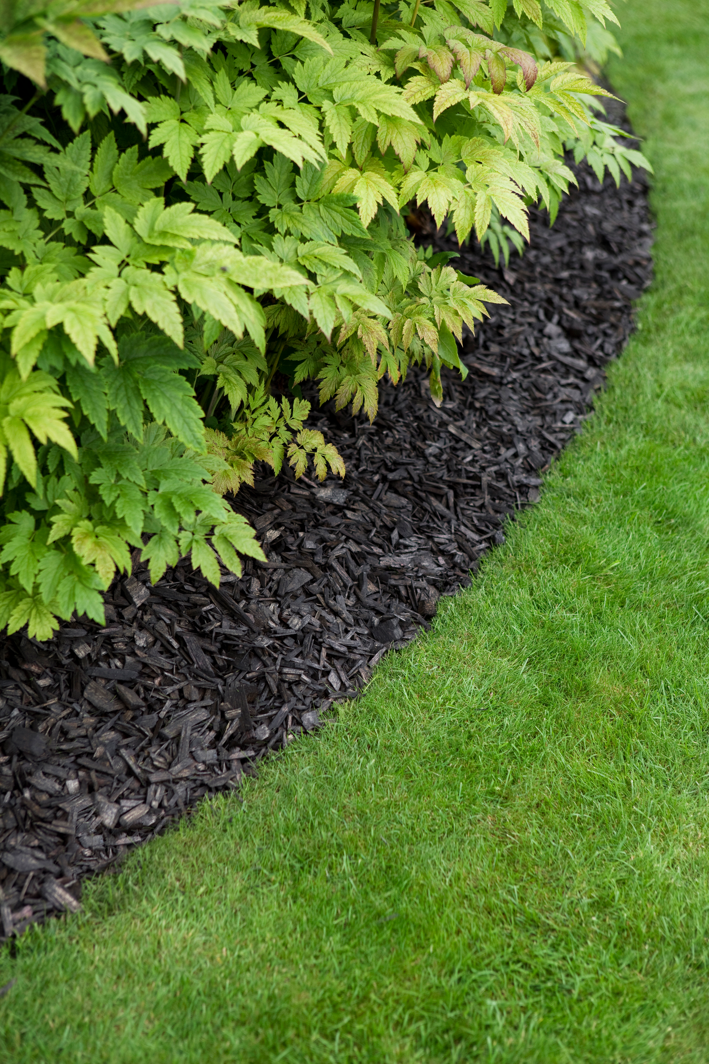 Koristekate Kekkilä hiilenmusta 45l