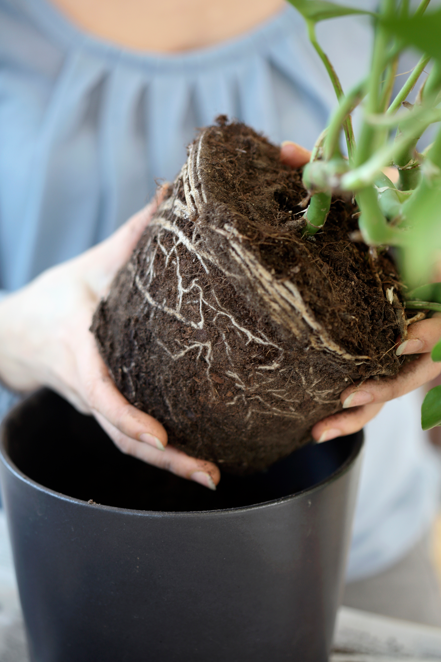 Viherkasvimulta Kekkilä 30l