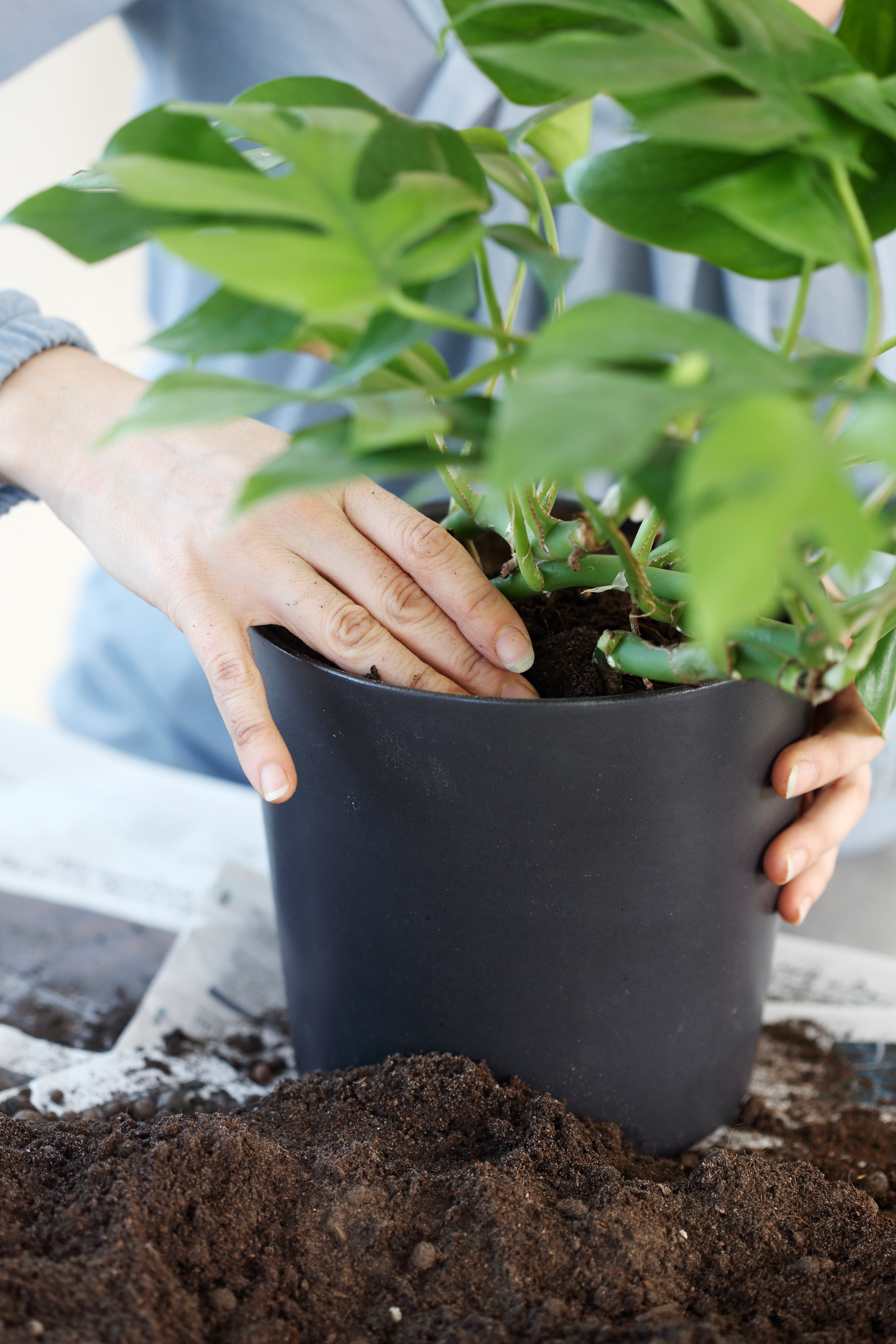 Viherkasvimulta Kekkilä 30l