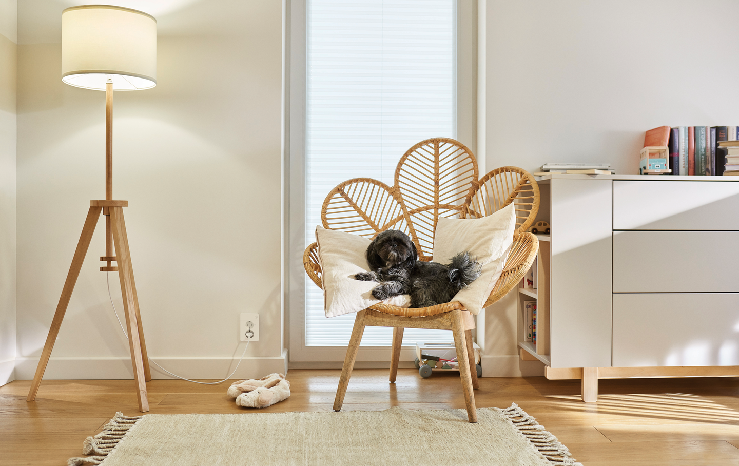 Wiser Exxact tuplapistorasia Schneider Electric Valkoinen