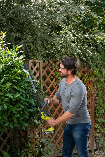 HÄCKSAX RYOBI RY18HT50A-120