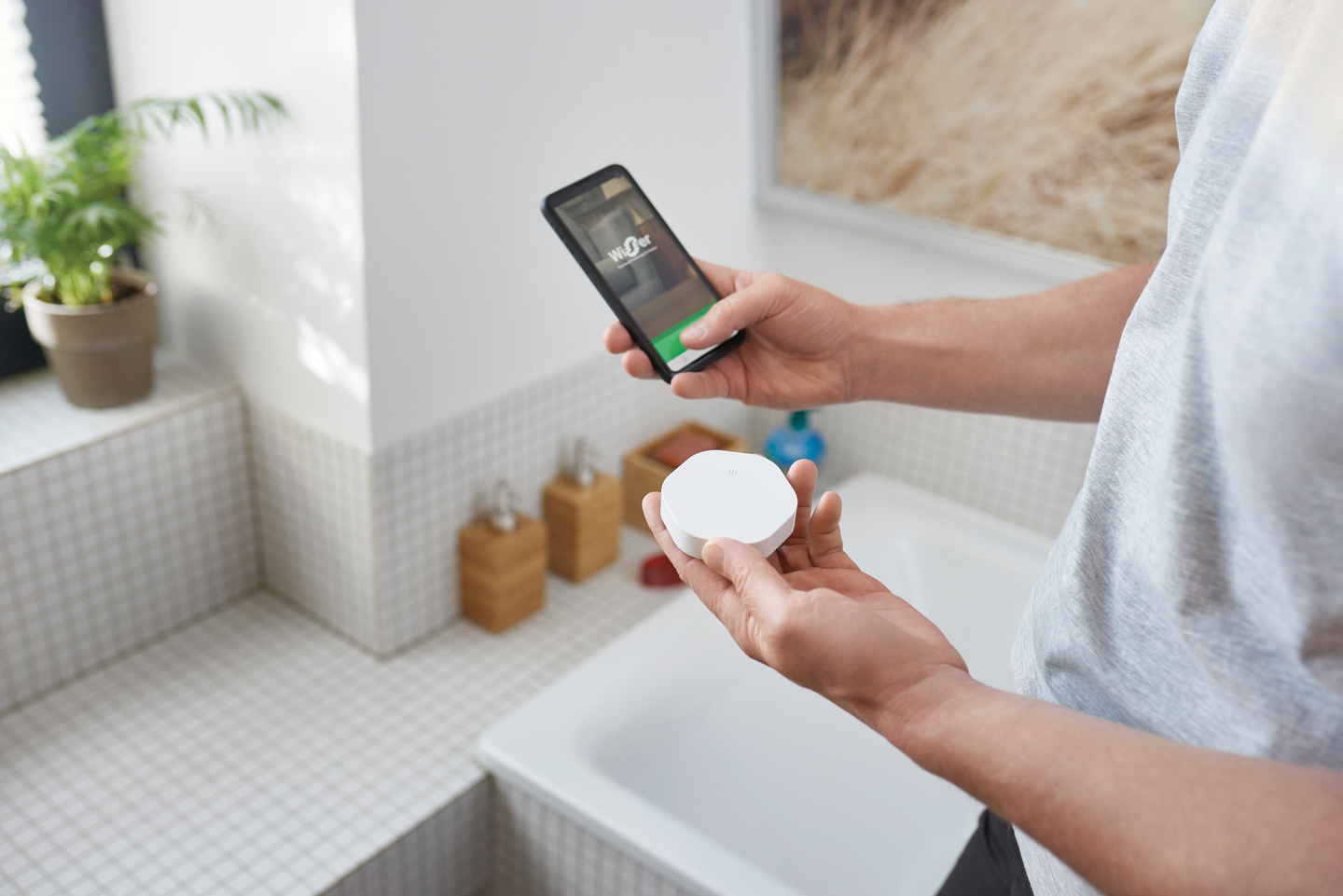 Wiser paristokäyttöinen vesivuotovahti Schneider Electric