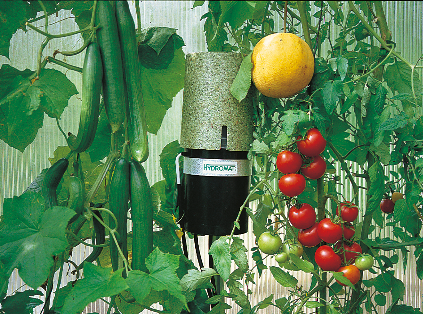 Tippukastelujärjestelmä Vitavia Hydromat